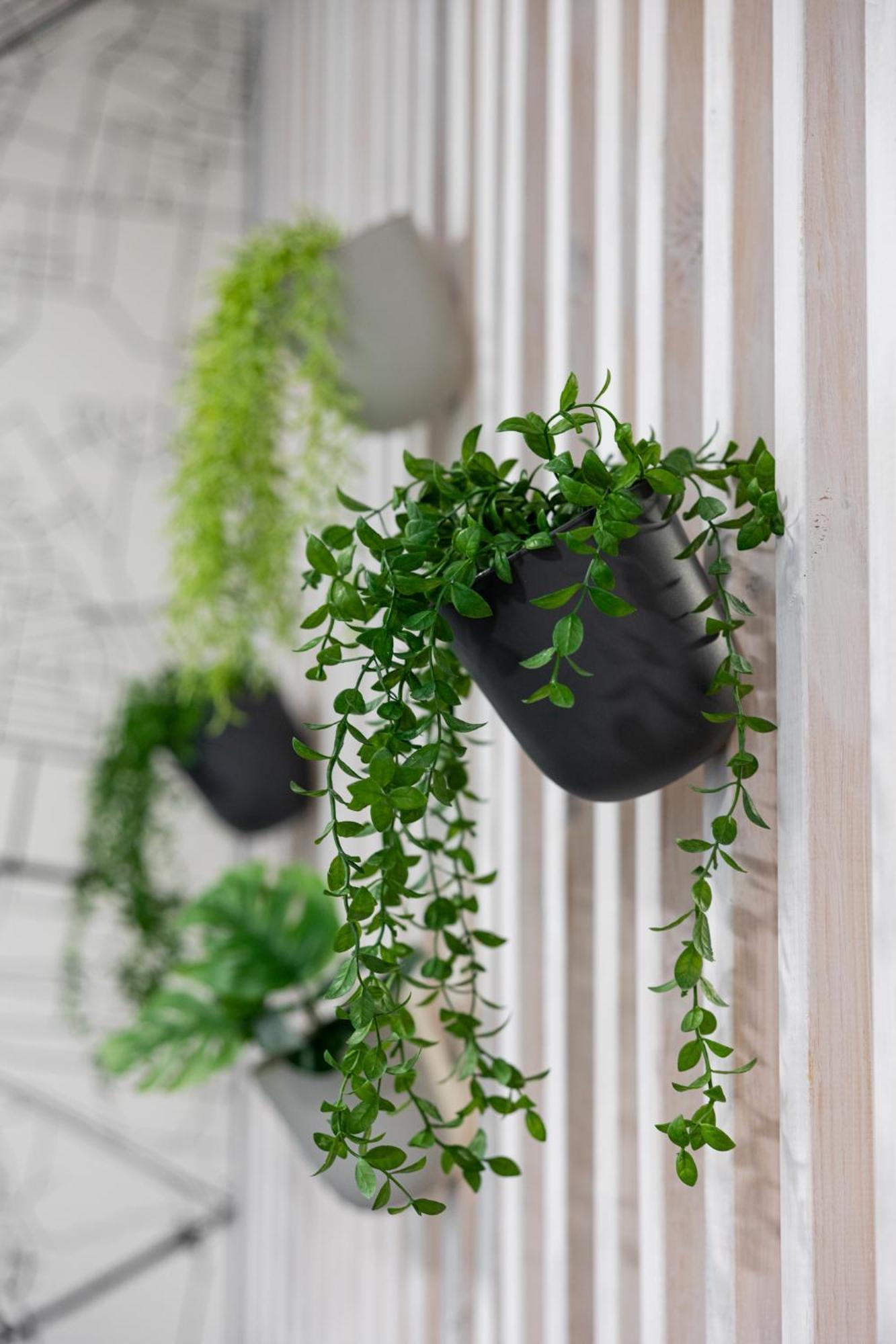 Appartamento Sekwoja Rent - Malmeda 15 Białystok Esterno foto